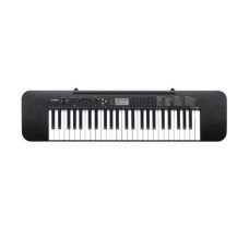 CASIO CTK-240  Electronic Musical Instrument (STANDARD) KS21