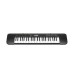 CASIO CTK-240  Electronic Musical Instrument (STANDARD) KS21