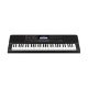 CASIO CT-X700 Electronic Musical Instrument (STANDARD) KS43