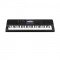 CASIO CT-X870IN Electronic Musical Instrument (STANDARD) KS44