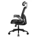 Cougar Speeder One Ergonomic Gaming Chair (Black)