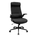 Cougar Stryder Gaming Chair (Black)