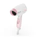 Philips HP8108 1000W Hair Dryer