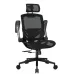Cougar Speeder One Ergonomic Gaming Chair (Black)