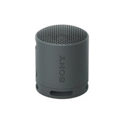 Sony SRS-XB100 Portable Wireless Speaker